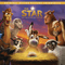 2017 The Star (Single)