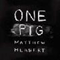 2011 One Pig