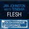 2010 Jan Johnston meets Tenishia - Flesh 2010 (Glenn Morrison Remix) [Single]