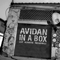 2012 Avidan In A Box