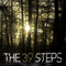 39Steps - Coming Clean