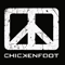 2009 Chickenfoot