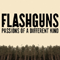 FlashGuns - Passions Of A Different Kind