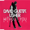2011 Without You (Remixes)