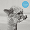 2015 Die Moglichkeit eines Lamas (Radio Edit) (Single)