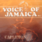 2003 Voice Of Jamaica Vol.3