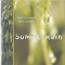 2004 Summer Rain