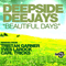 2009 Beautiful Days (Remixes)
