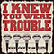2013 I Knew You Were Trouble (with KRNFX)