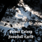 2011 Snowball Earth