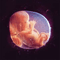 2012 Embryo