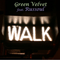 2007 Walk