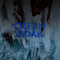 Mount Eerie ~ Ocean Roar