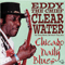 1999 Chicago Blues Sessions (Vol. 51) Chicago Daily Blues
