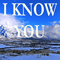 2017 I Know You [Single]