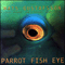 1995 Parrot Fish Eye