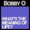 2012 What's the Meaning of Life (Single)