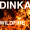 2008 Wildfire (Single)