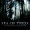 2013 Sea Of Trees