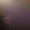 2012 Dog In The Fog