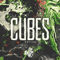 2018 Cubes (Single)
