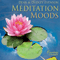 2010 Meditation Moods
