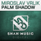 2013 Palm Shadow