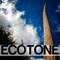 2011 Ecotone