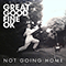 2014 Not Going Home (Single)