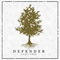 2017 Lost // Tree