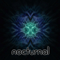 2013 Nocturnal (EP)