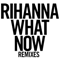 2013 What Now (Remixes)