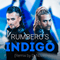 2015 Indigo (David Nova Remix)