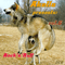 2013 Akella Presents, Vol. 06 - Rock 'n' Roll (CD 1)