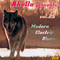 2013 Akella Presents, Vol. 25 - Modern Electric Blues (CD 1)