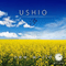 2014 Ushio (Single)
