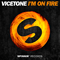 2015 I'm On Fire (Single)