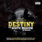 2010 Destiny