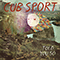 Cub Sport - Told You So (Single)