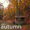 2016 Autumn (Single)