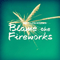 2011 Blame The Fireworks (Single)