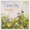 1988 Open Sky