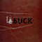 2013 Buck