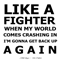 2014 Like a Fighter (Single)