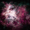 2015 Nebula