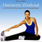 2013 Harmonic Workout