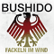 2010 Fackeln im Wind (Single)