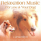 2008 Relaxation Music for You and Your Dog