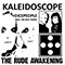 2019 Kaleidoscope (Dicepeople Roll The Dice Remix)