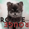 2018 Rogue Rouge